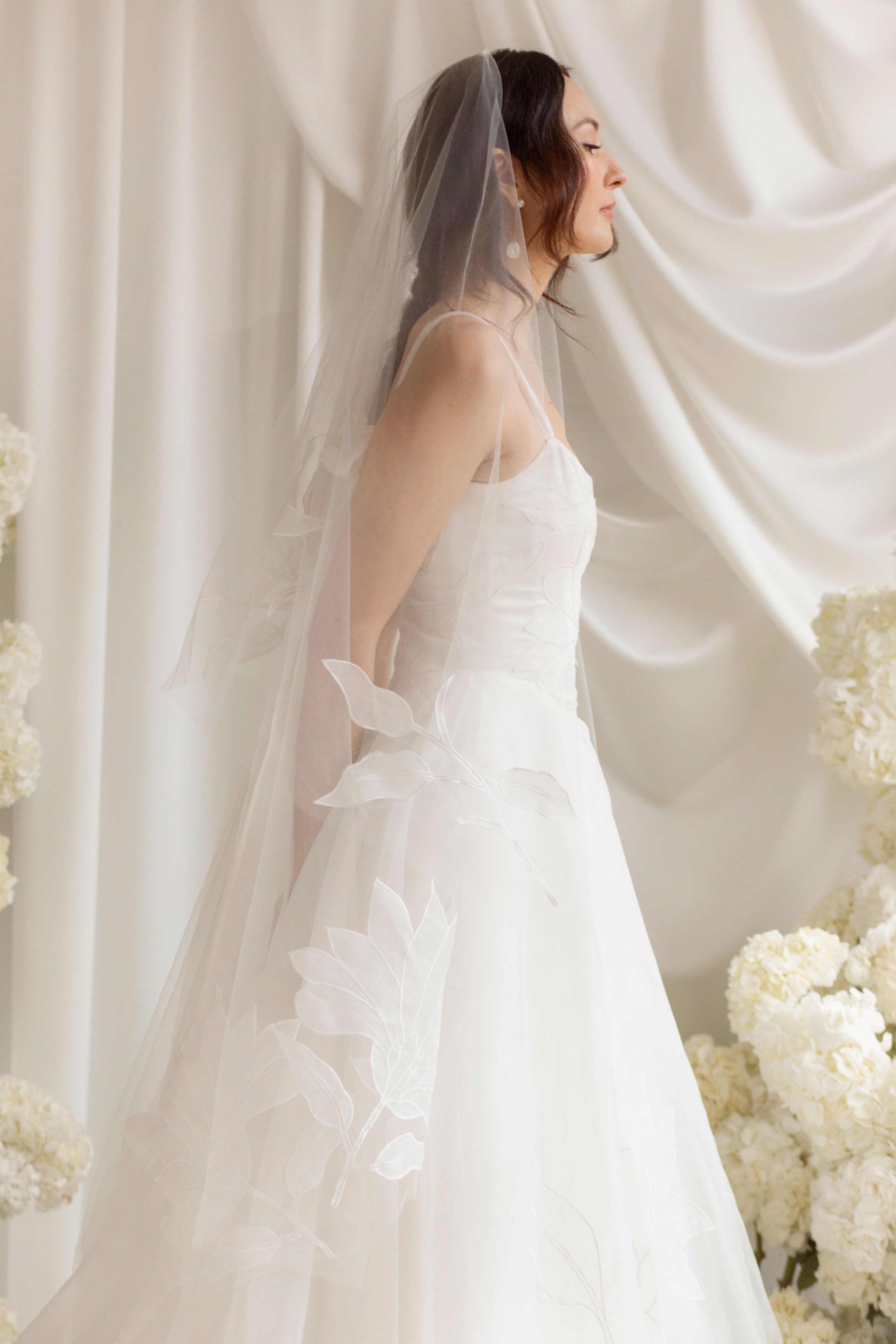 Assel Veil